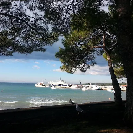 Bilic Διαμέρισμα *